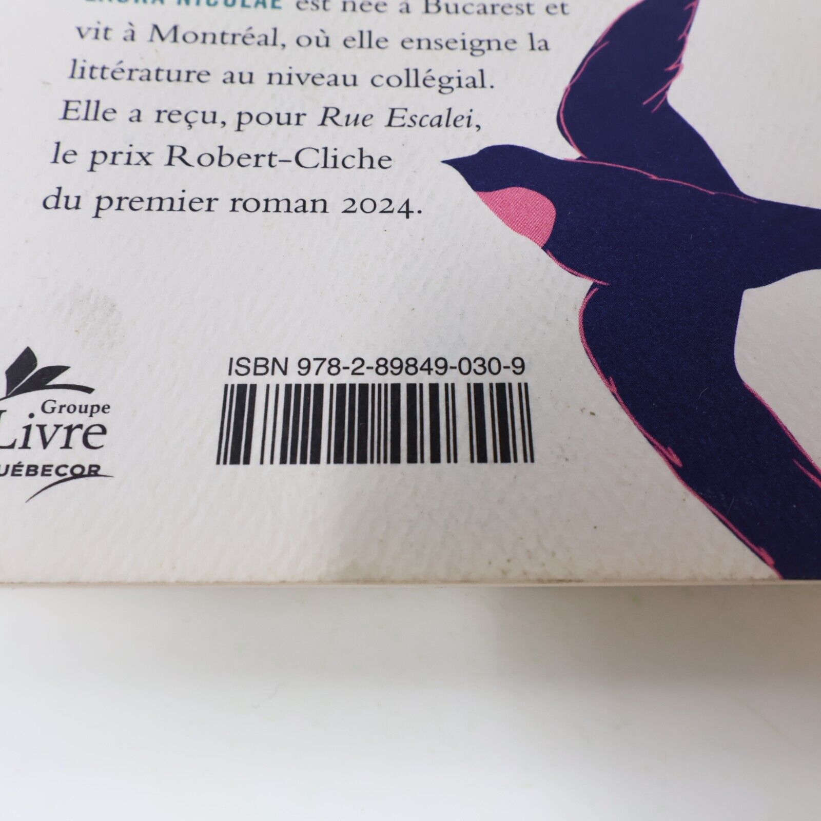 2024 Rue Escalei Laura Nicolae Littérature Québécoise Roman Vlb Français Livre