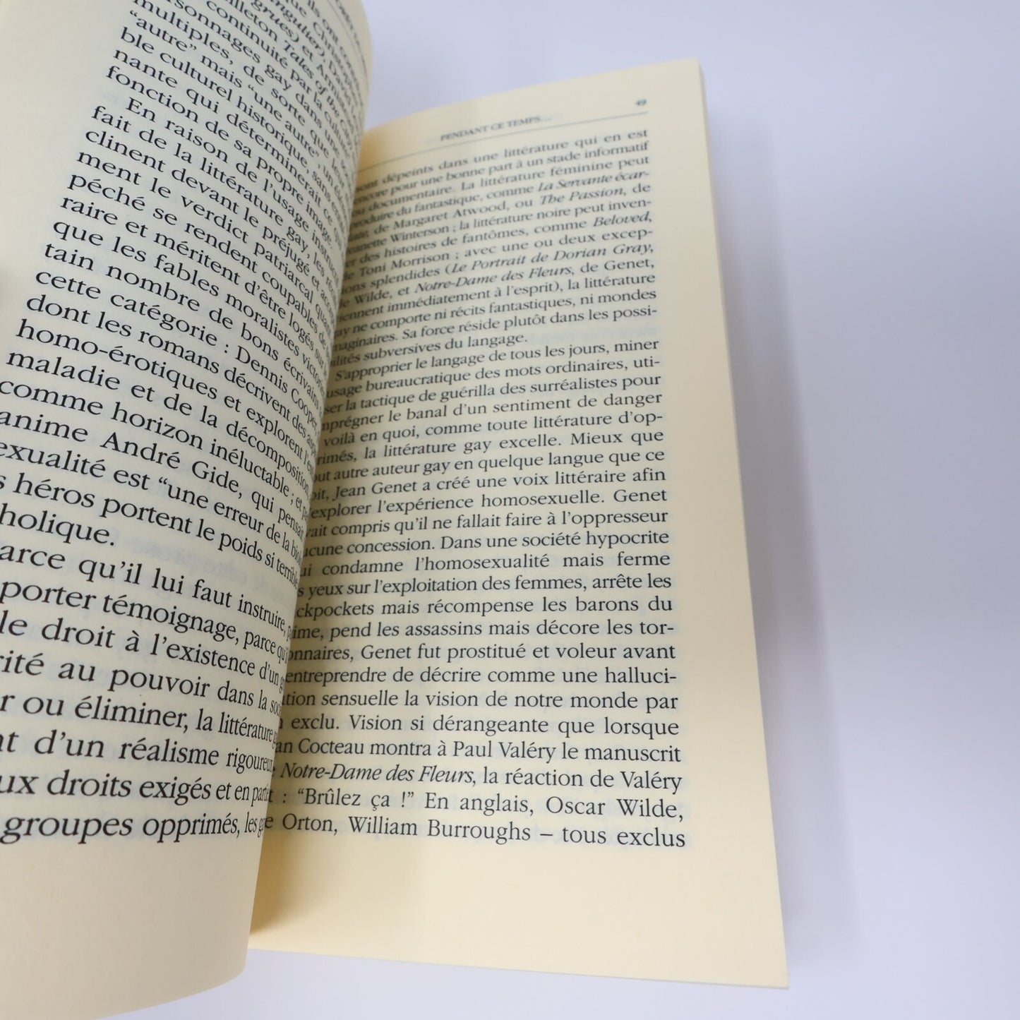 Alberto Manguel Lot 2 Livres Dans la Forêt du Miroir/Histoire de Lecture Essai