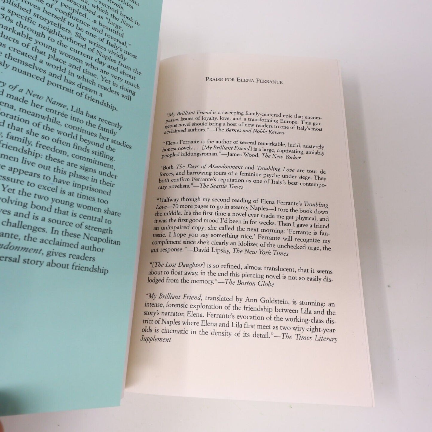 2013 The Story of a New Name Elena Ferrante Europa Paperback Women's Fiction PB