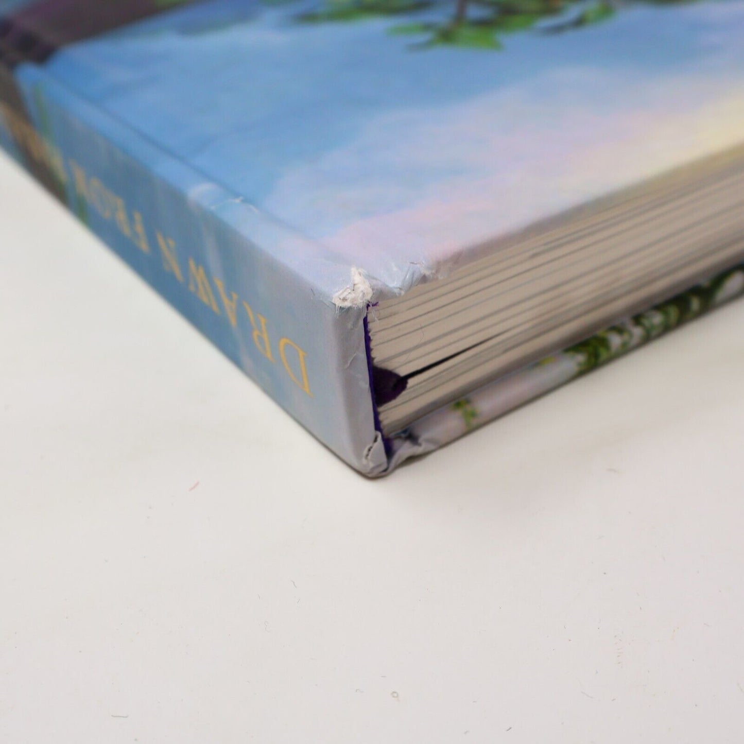 2012 Drawn From Paradise Attenborough/Fuller Birds Art Natural History Harper HC