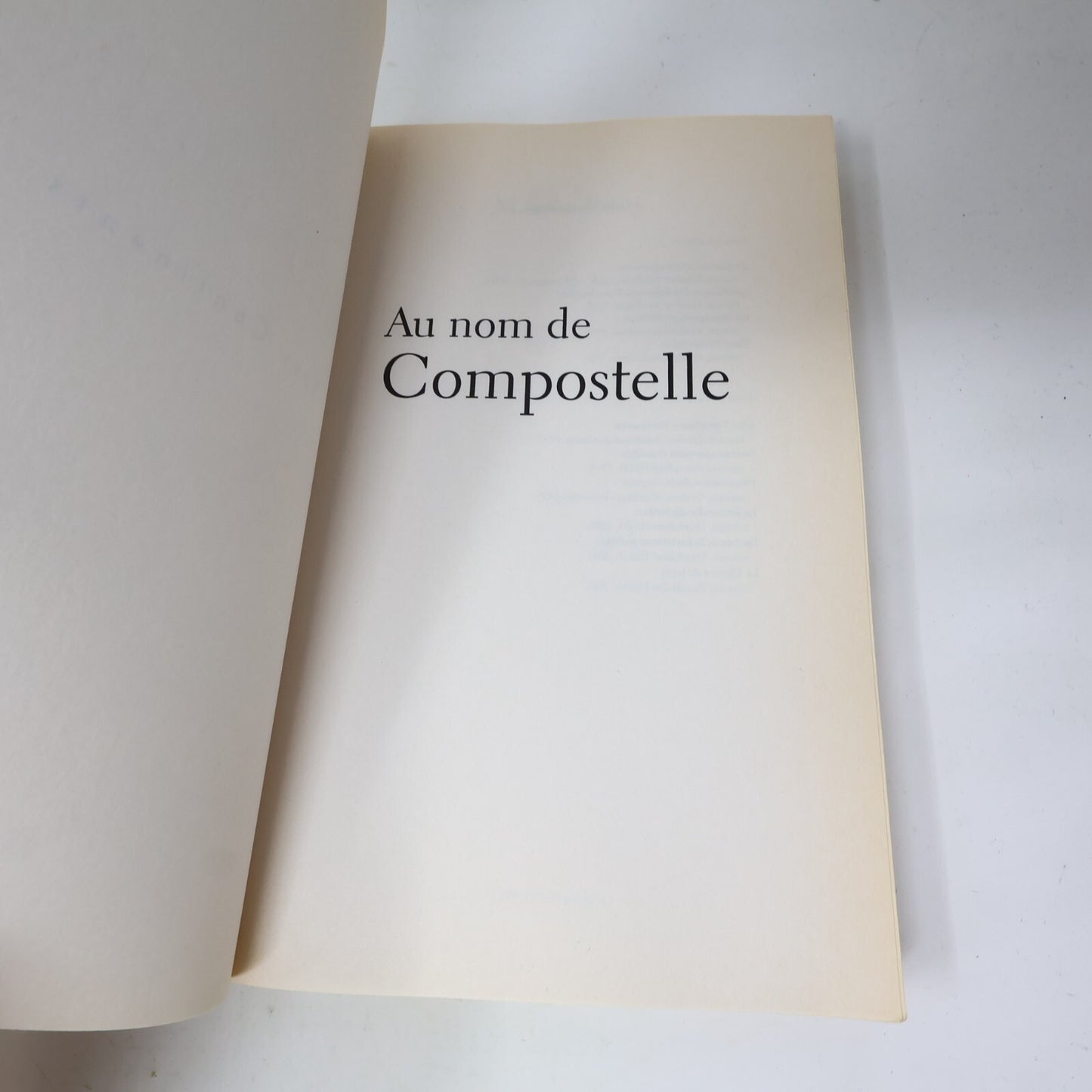2003 Au Nom de Compostelle Maryse Rouy Québec Amérique Fiction Historique Livre