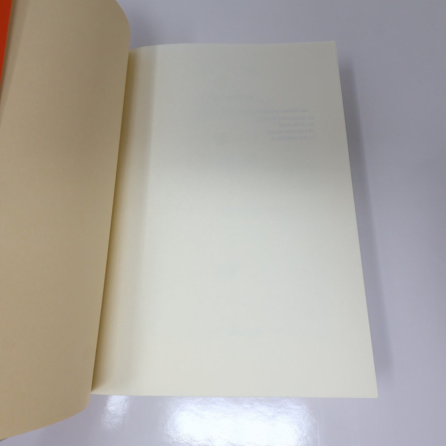 Orhan Pamuk Lot 2 Livres Le Livre Noir/Mon Nom est Rouge Crime et Mystère French