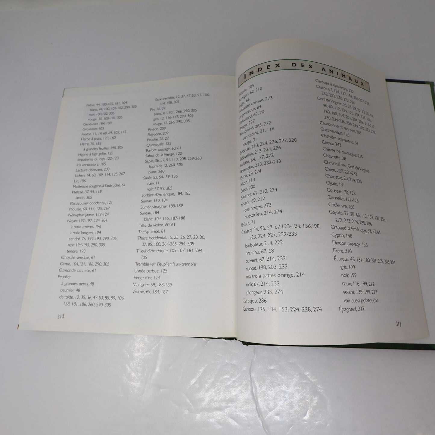 Guide de la Forêt Québécoise André Croteau De L'homme 1996 HC Arbres Nature 90s