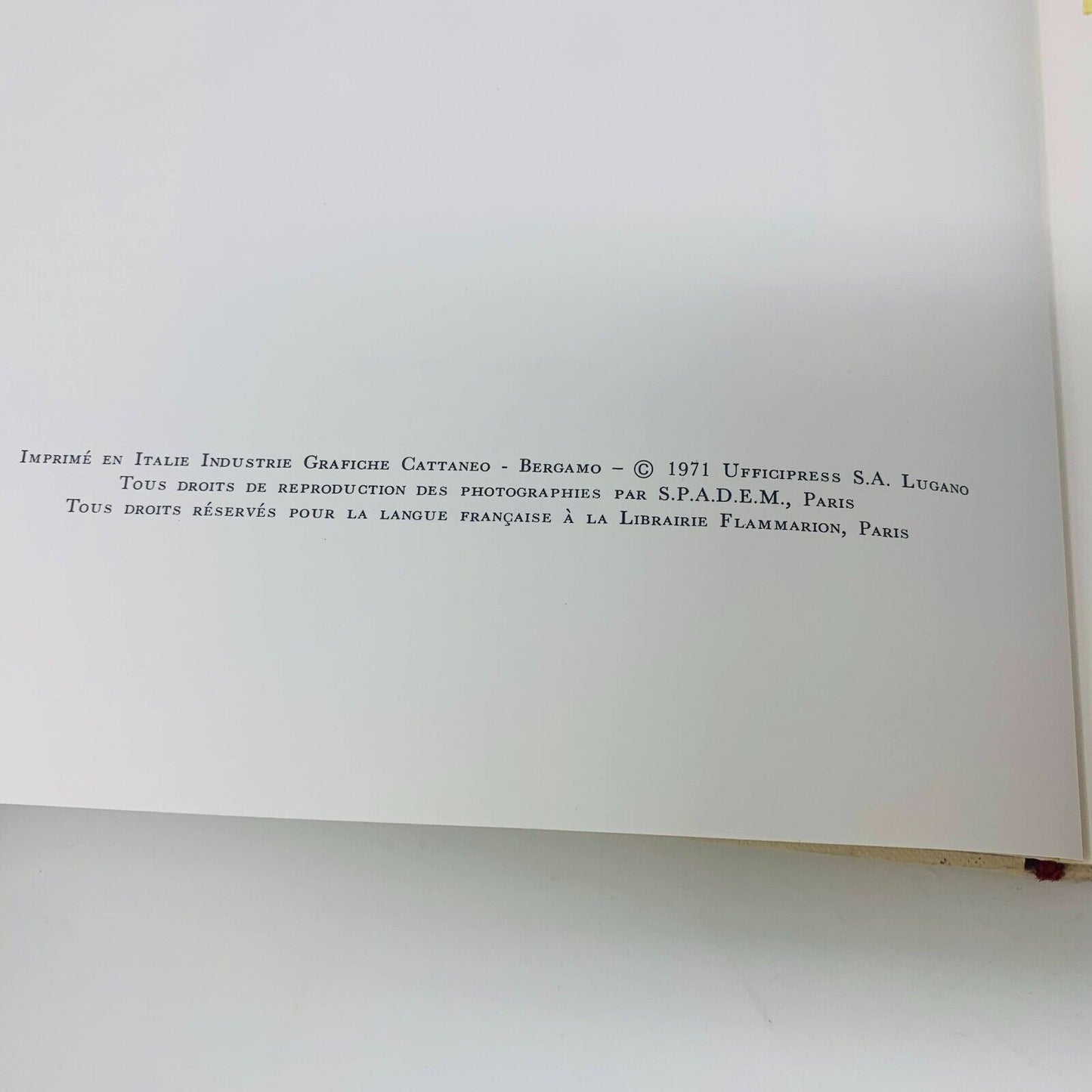 1971 Paul Klee par Denys Chevalier Flammarion Français/French Art Peinture HC DJ