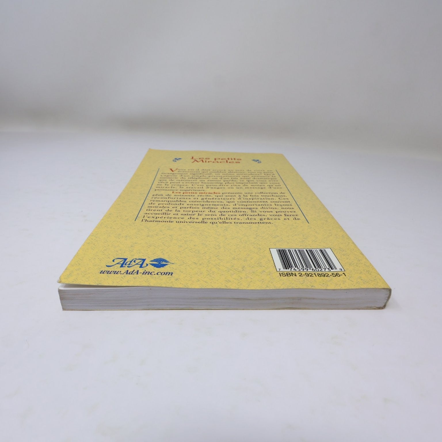 Les petits Miracles Halberstam Leventhal 1999 ADA Coincidences du Quotidien