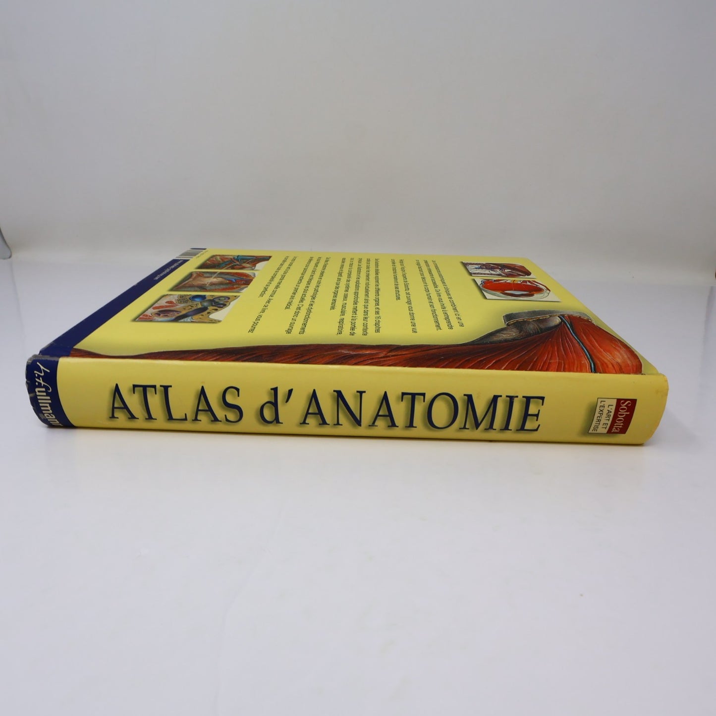Atlas d'Anatomie Sobotta Ullman 2010 HC Français/French 600 Illustrations Livre
