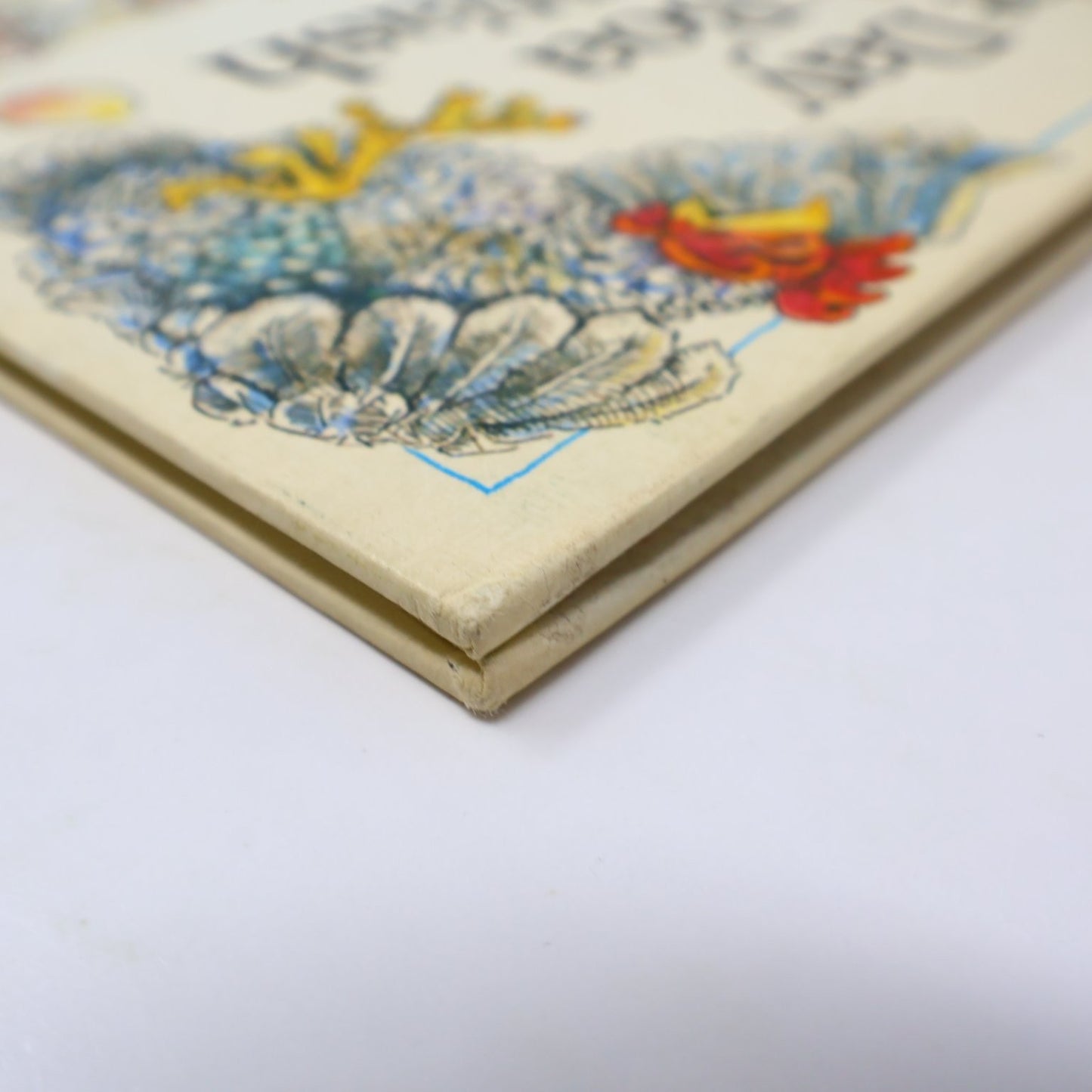 The Day Jimmy's Boa Ate the Wash Noble 1980 Illustrated Kids Book Dial Press