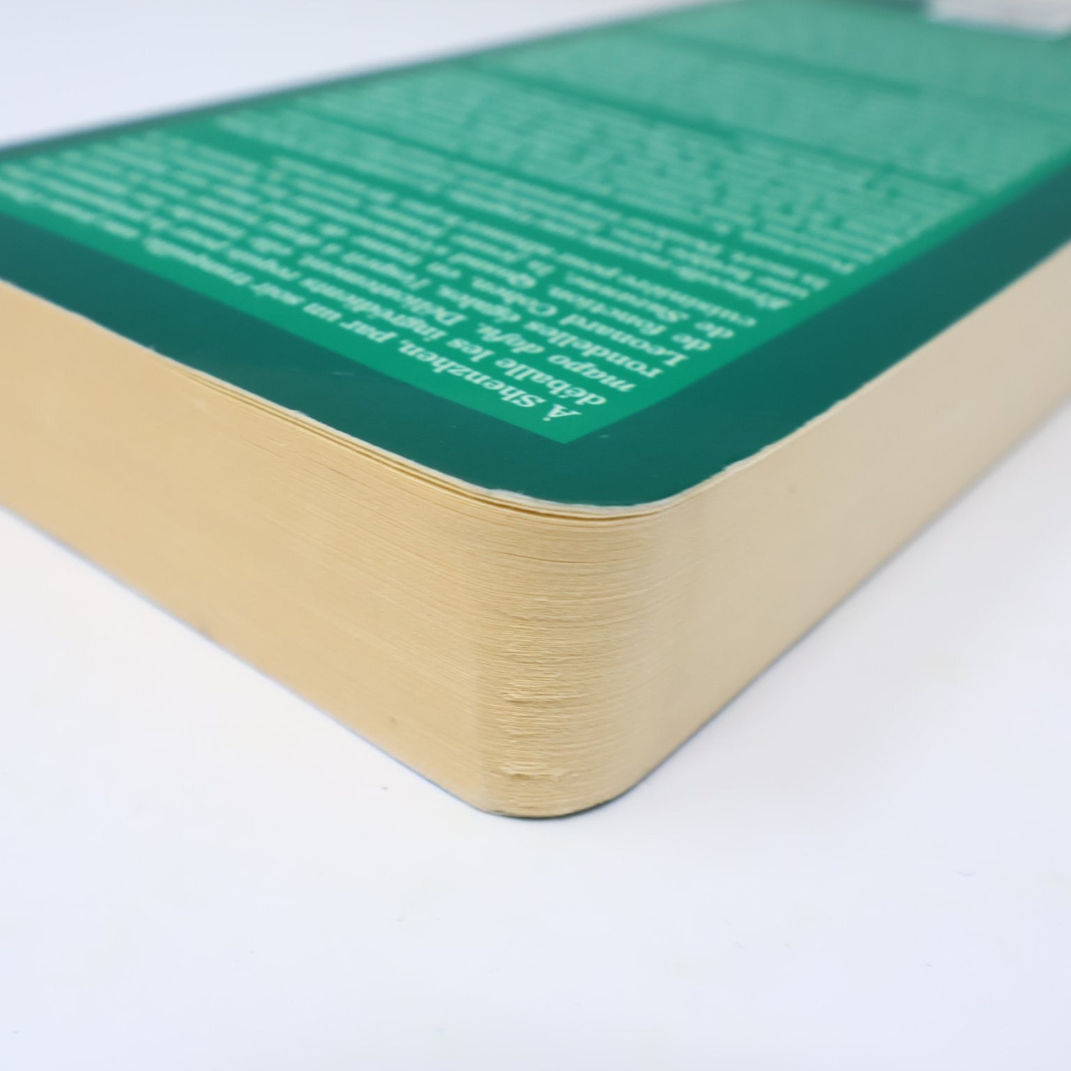 Étincelle Michèle Plomer 2016 Français Livre Edition Marchand de Feuilles