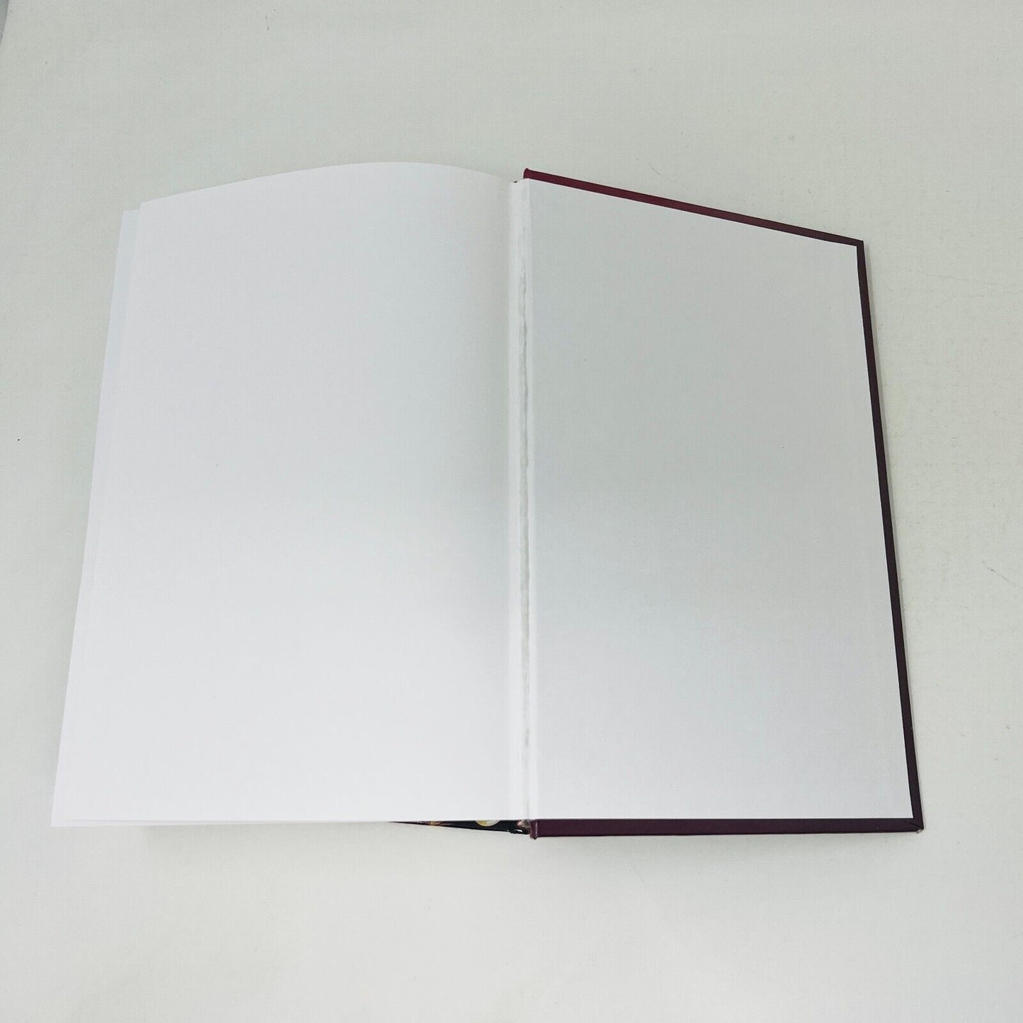 1999 Le Grand Livre de la Cartomancie de Gerhard von Lentner en Français Avenir