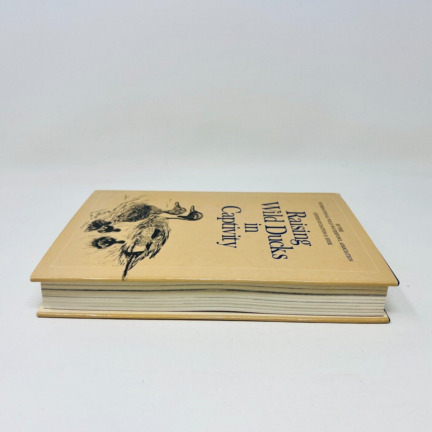 1974 Raising Wild Ducks in Captivity by Dayton O. Hyde Hardcover DJ Dutton IWWA