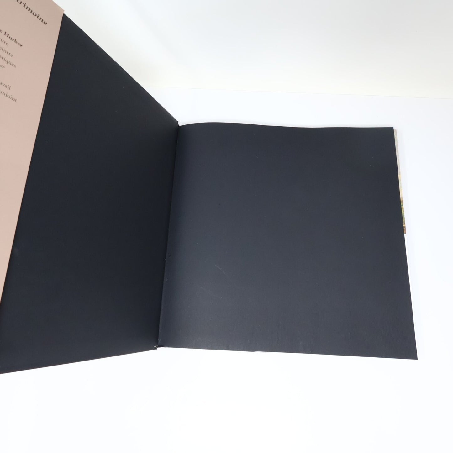 Corot et les Peintres de l'École d'Arras Dominique Horbez 2004 HC Français Arts