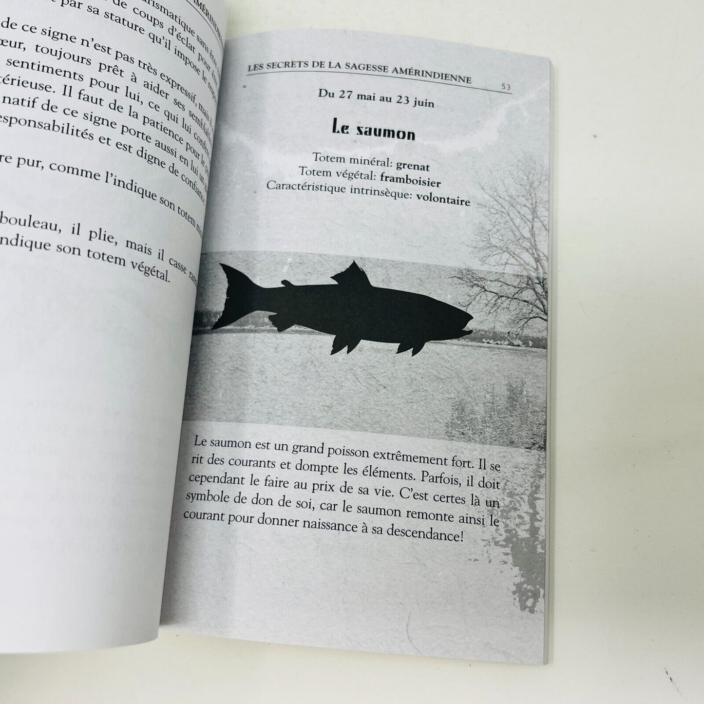 2010 Les Secrets de la Sagesse Amérindienne de Ronan Kouba Chamanisme Astrologie