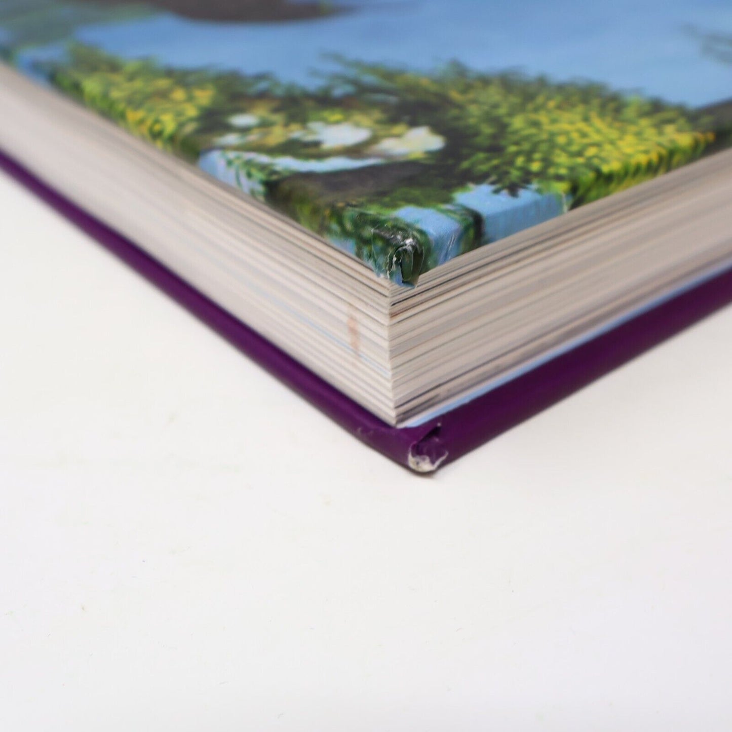 2012 Drawn From Paradise Attenborough/Fuller Birds Art Natural History Harper HC