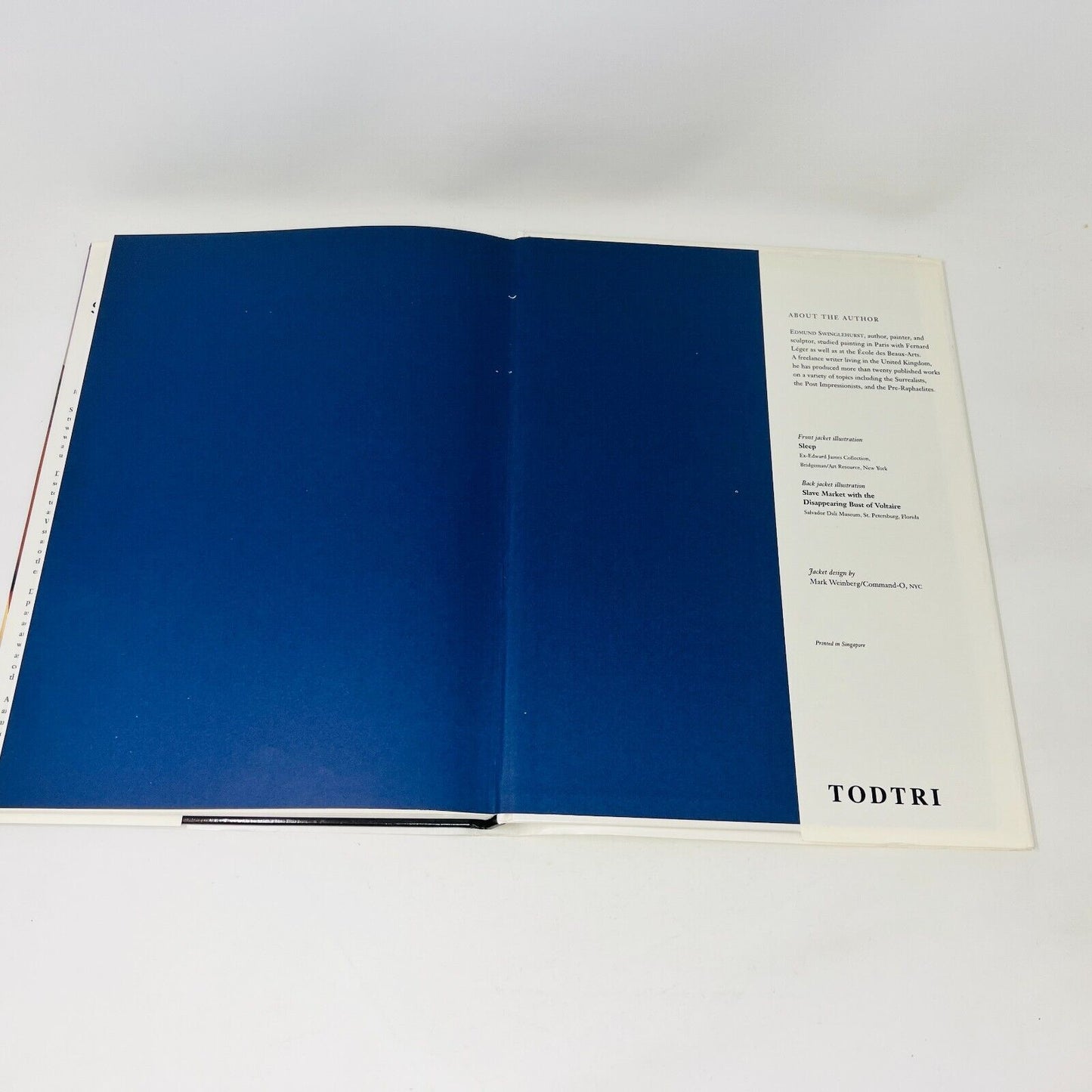 1996 Salvador Dali Exploring the Irrational by Edmund Swinglehurst Art Artist HC