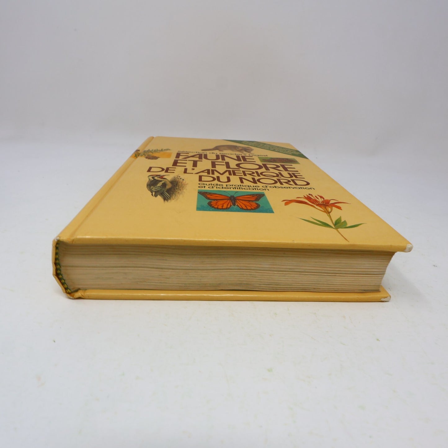 1986 Faune et Flore de l'Amérique du Nord Nature Reader's Digest Français Livre