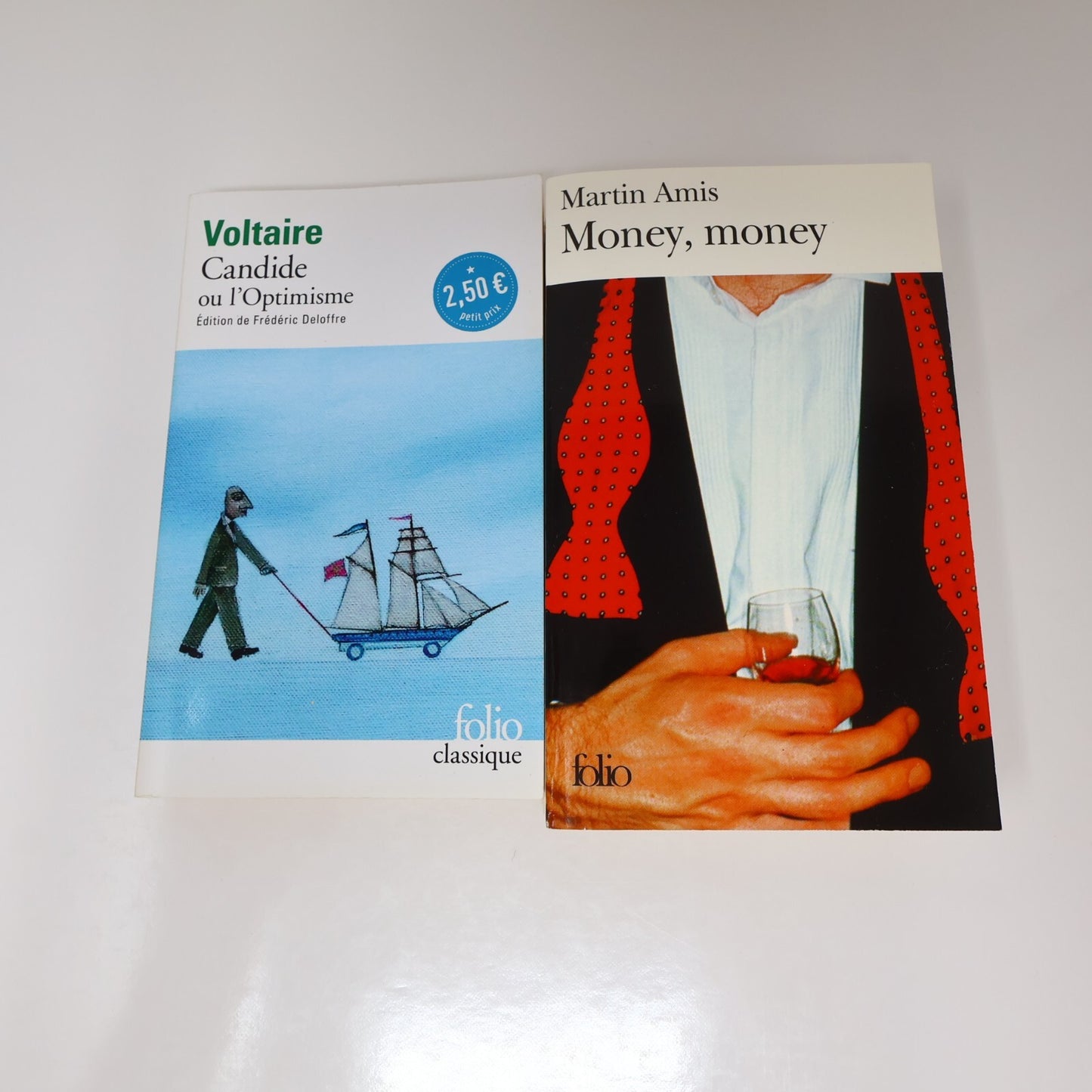 Folio Lot 34 Livres Gallimard Jardin/Kafka/Wolinski/Steinbeck/Poe Littérature PB