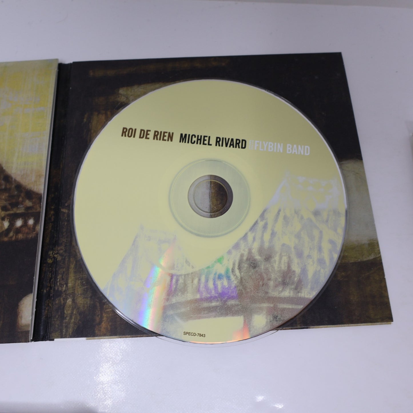 Michel Rivard Lot 4 CD Un Trou dans les Nuages/Le Goût de L'Eau/Roi de Rien