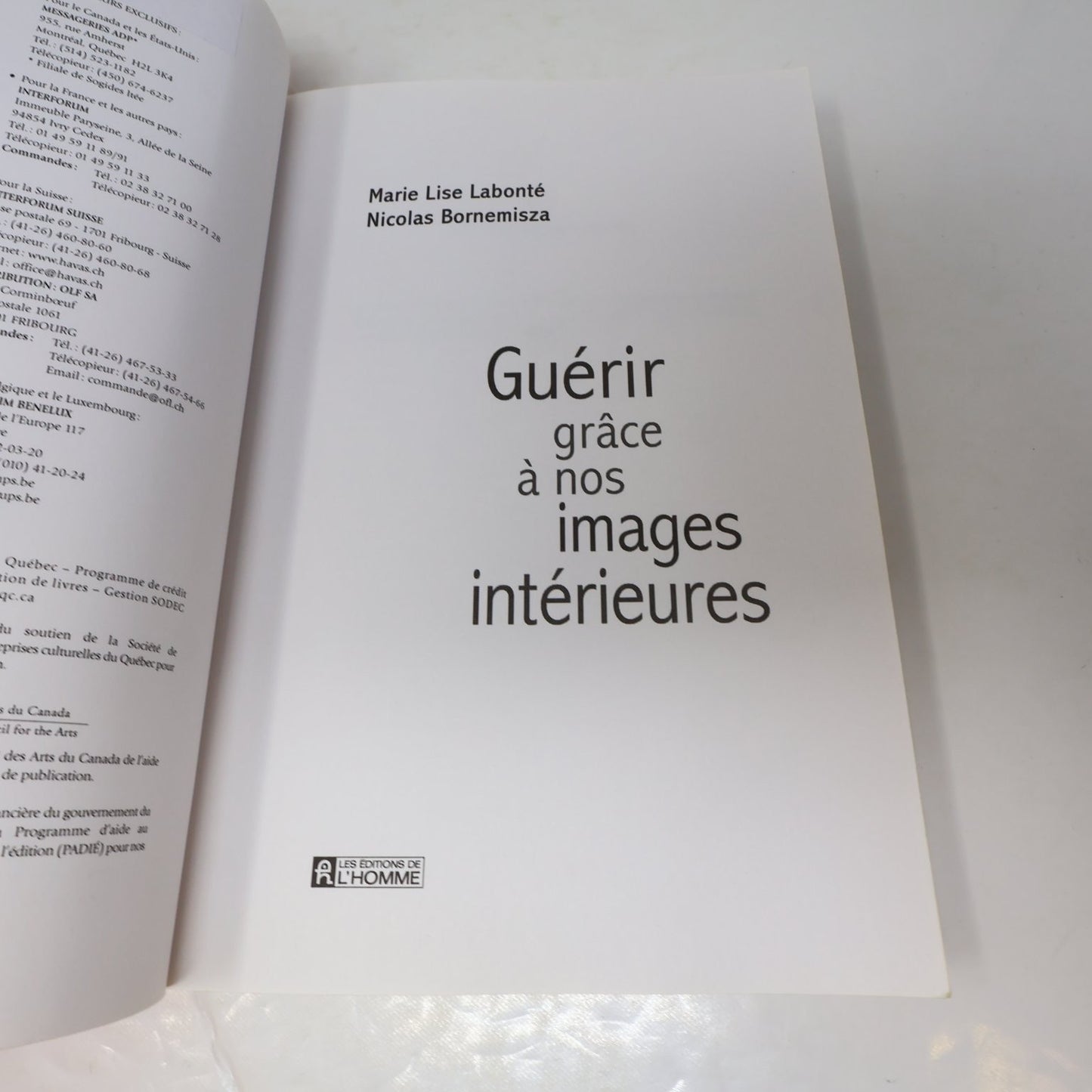 Guérir grâce à nos images intérieures Labonté/Bornemisza 2006 Psychologie PB