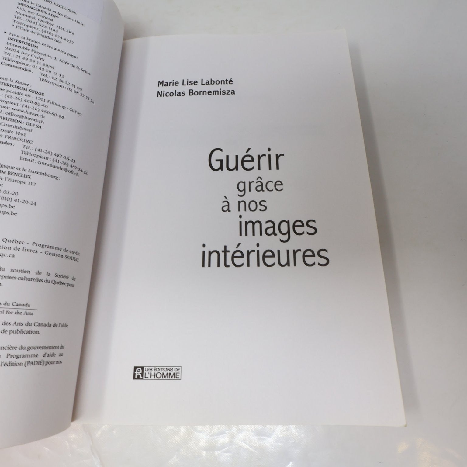 Guérir grâce à nos images intérieures Labonté/Bornemisza 2006 Psychologie PB