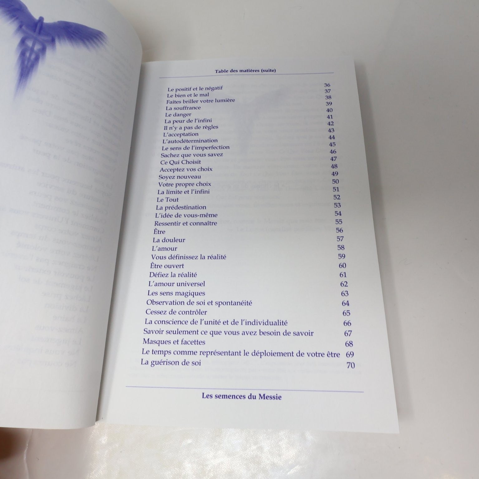 Les Semences du Messie Volume 1 Story Waters Livre 2005 Spiritualité Esprit AdA