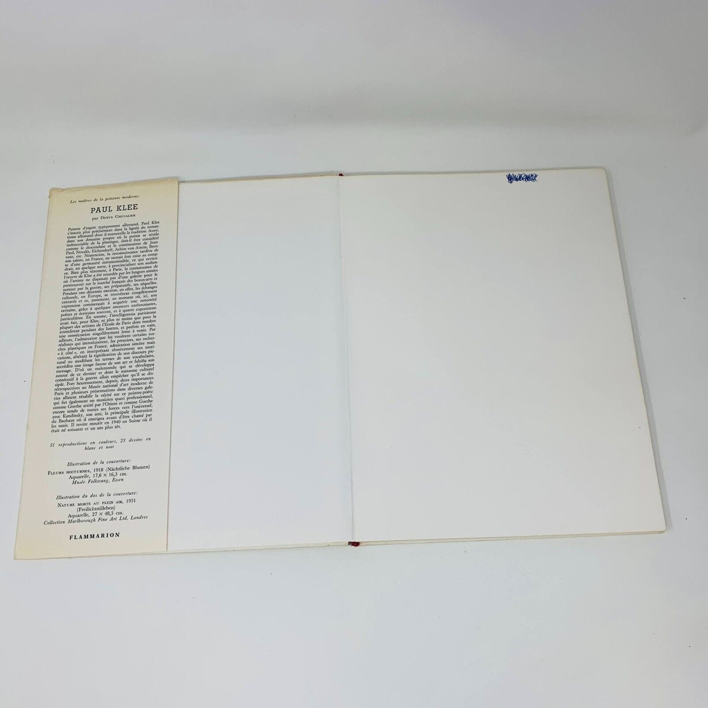 1971 Paul Klee par Denys Chevalier Flammarion Français/French Art Peinture HC DJ