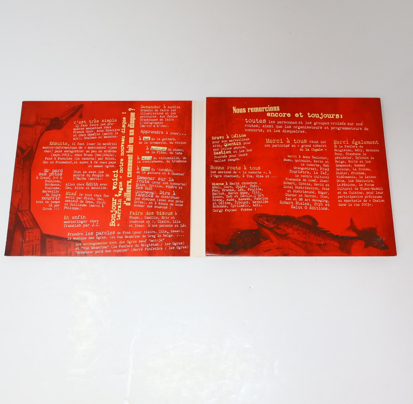 Terrain Vague Les Ogres de Barback CD Irfan 2004 Pop Folk World Français French