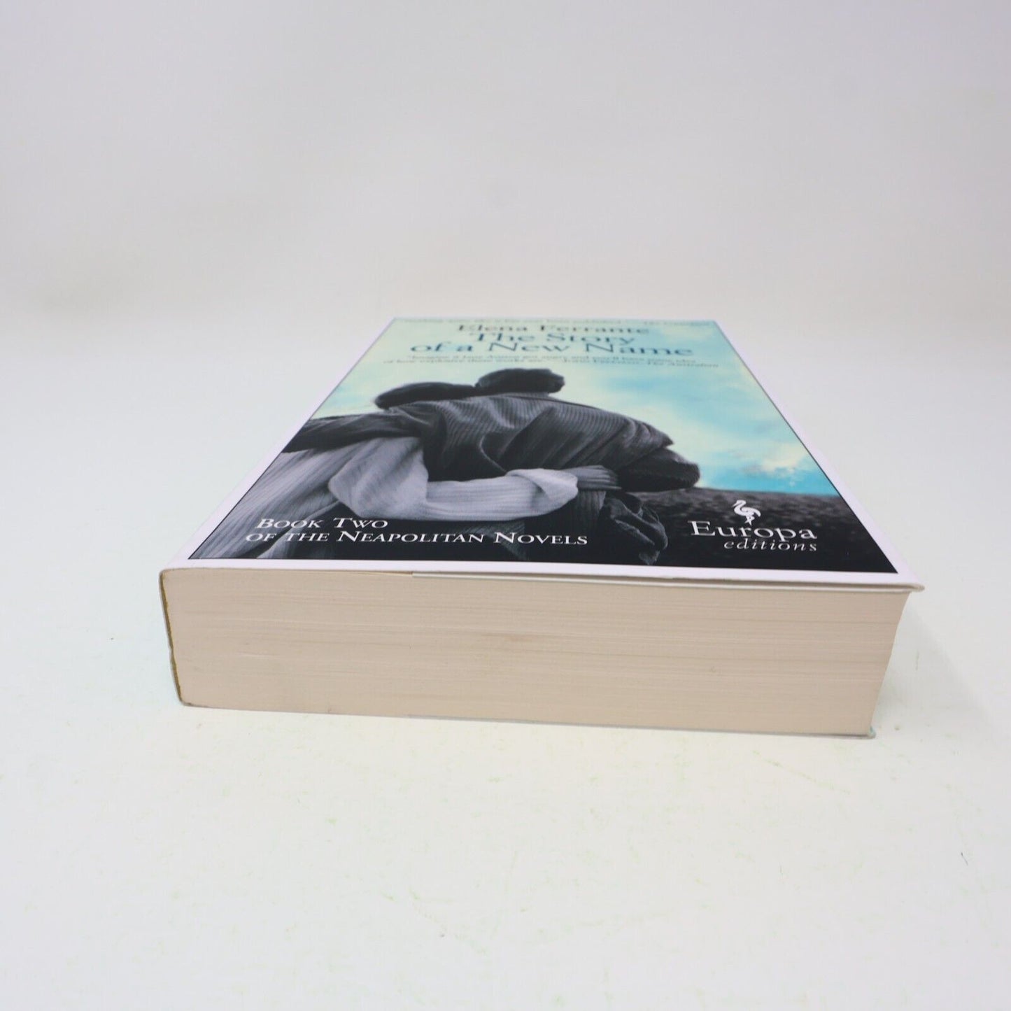 2013 The Story of a New Name Elena Ferrante Europa Paperback Women's Fiction PB