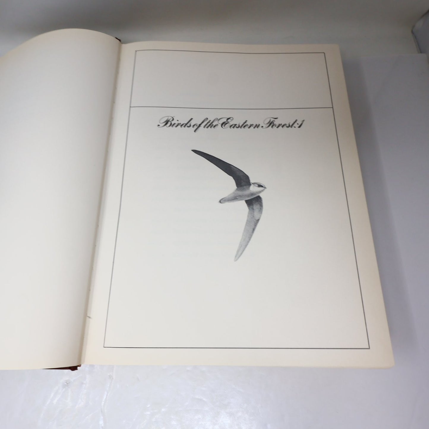 Lansdowne's Birds of the Forest John A. Livingston 1989 Illustrated Arrowood HC