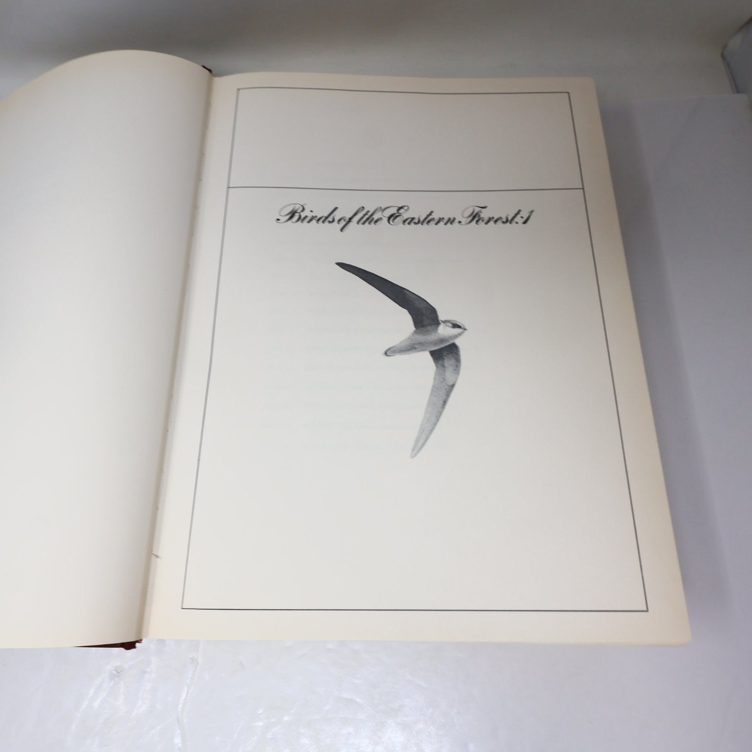 Lansdowne's Birds of the Forest John A. Livingston 1989 Illustrated Arrowood HC