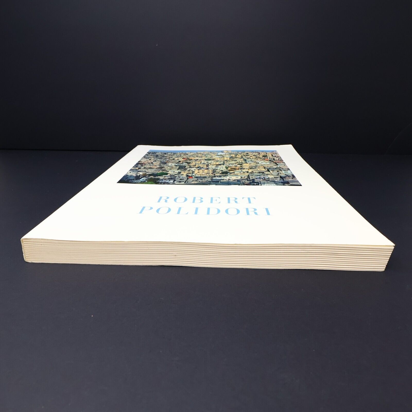 2009 Robert Polidori Musée d'Art Contemporain de Montréal Exhibition Guide PB