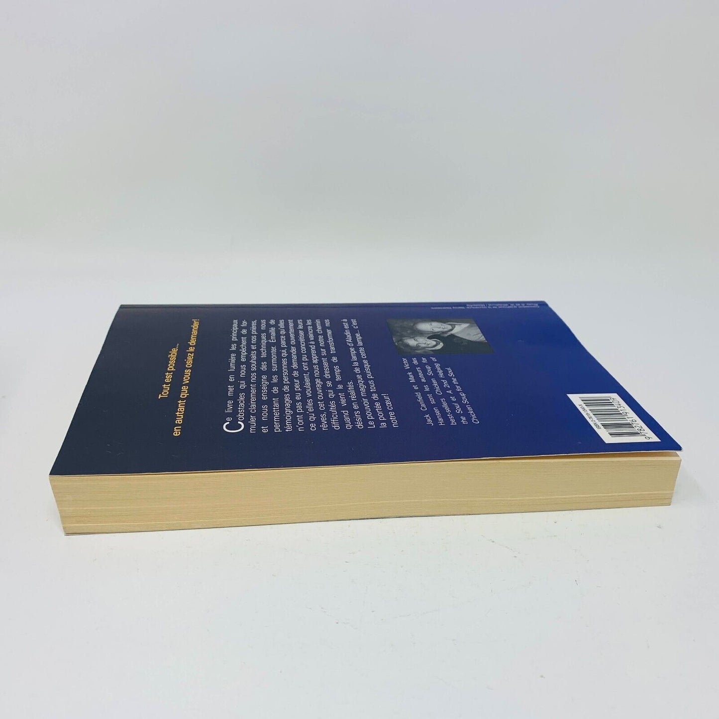 1996 Le Pouvoir d'Aladin Mark Victor Hansen/Jack Canfield Vos Désirs en Réalités