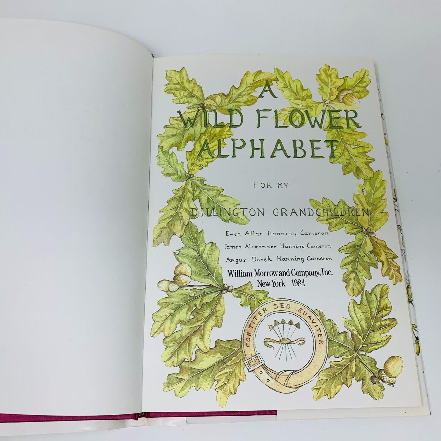 1984 A Wild Flower Alphabet Morrow Hardcover DJ Elizabeth Cameron 1st Print