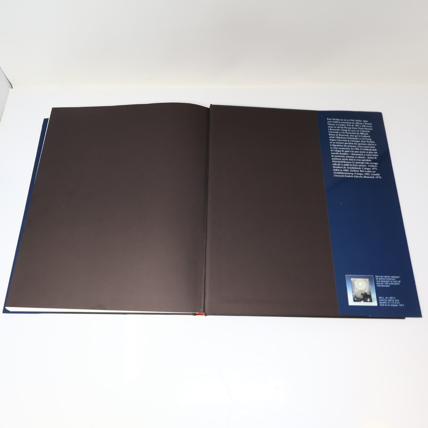 Manuel de Restauration des Tableaux Knut Nicolaus Konemann 1999 HC DJ Français