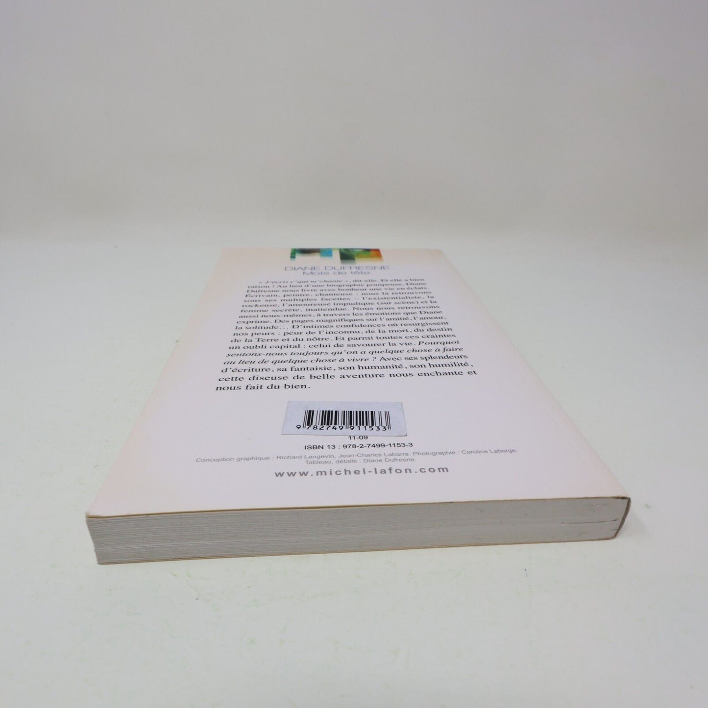 2009 Mots de Tête Diane Dufresne Biographie Musique Chanson Michel Lafon Livre