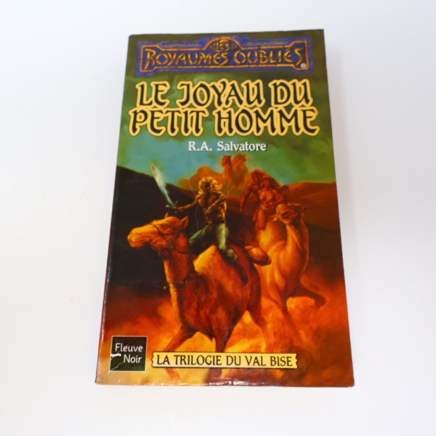 Lot 2 Livres Royaumes Oubliés #16-17 La Trilogie du Val Bise Fantasy Français PB
