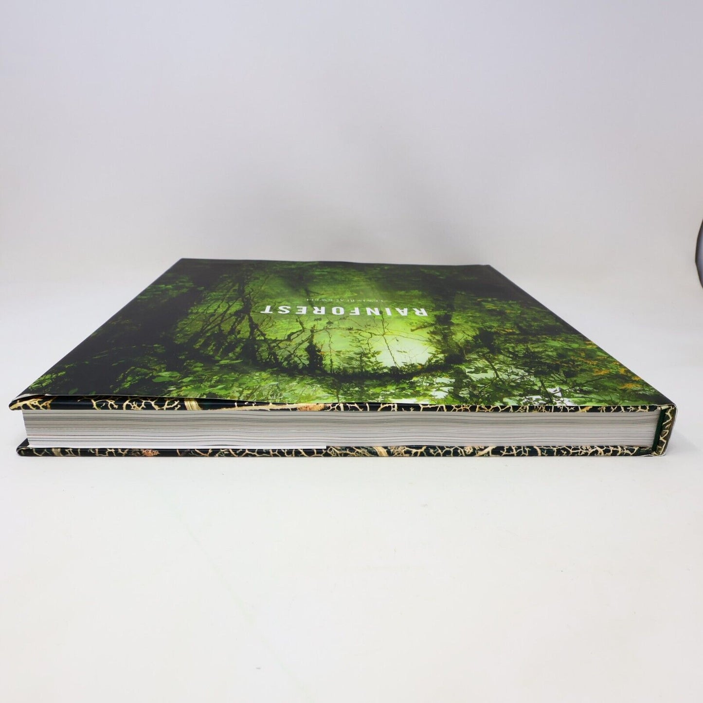 2014 Rainforest by Lewis Blackwell Nature Photos Harry N. Abrams Book Hardcover