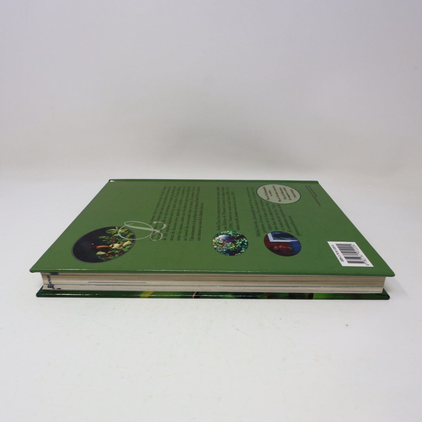 1995 Guide des Oiseaux Saison par Saison Dion/Sokolyk Ornithologie Animaux Livre