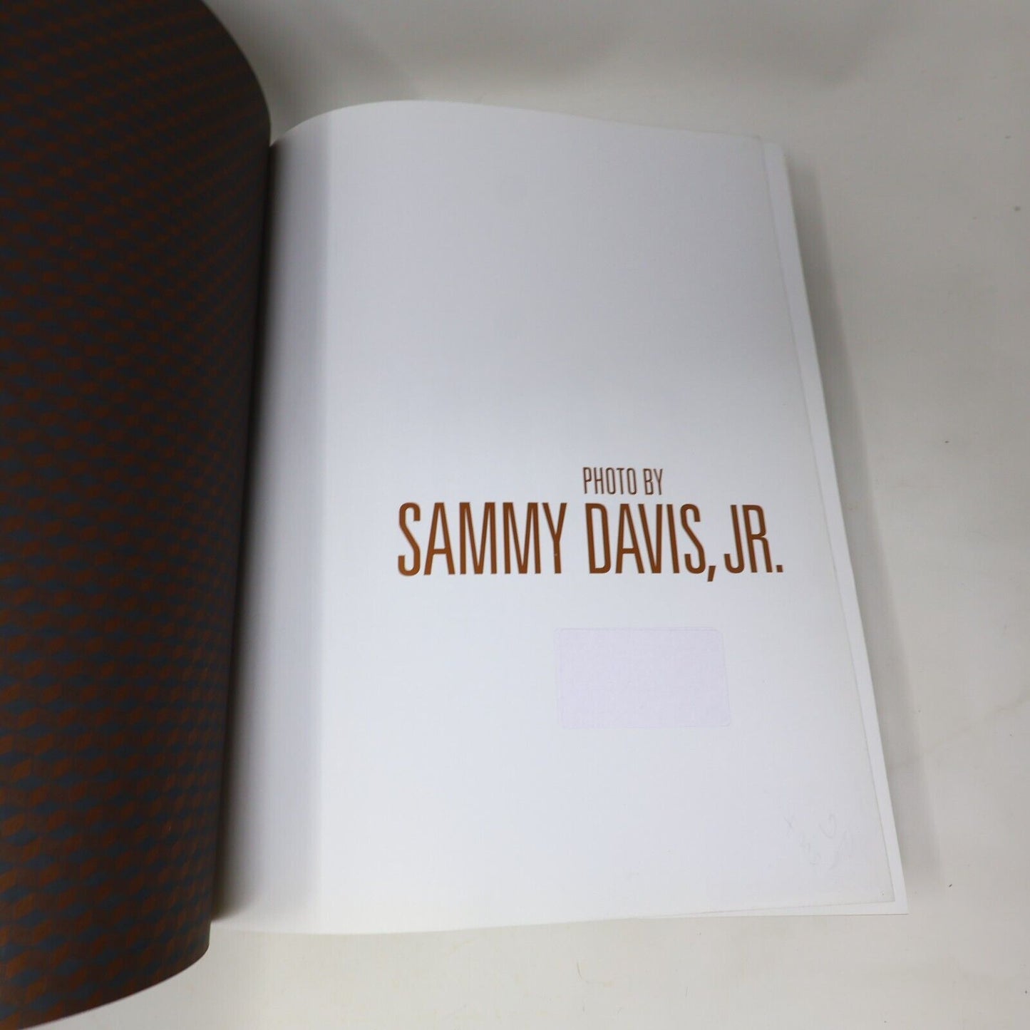 2007 Photo By Sammy Davis Jr. Burt Boyar Art Photography 1st Edition 1st Print
