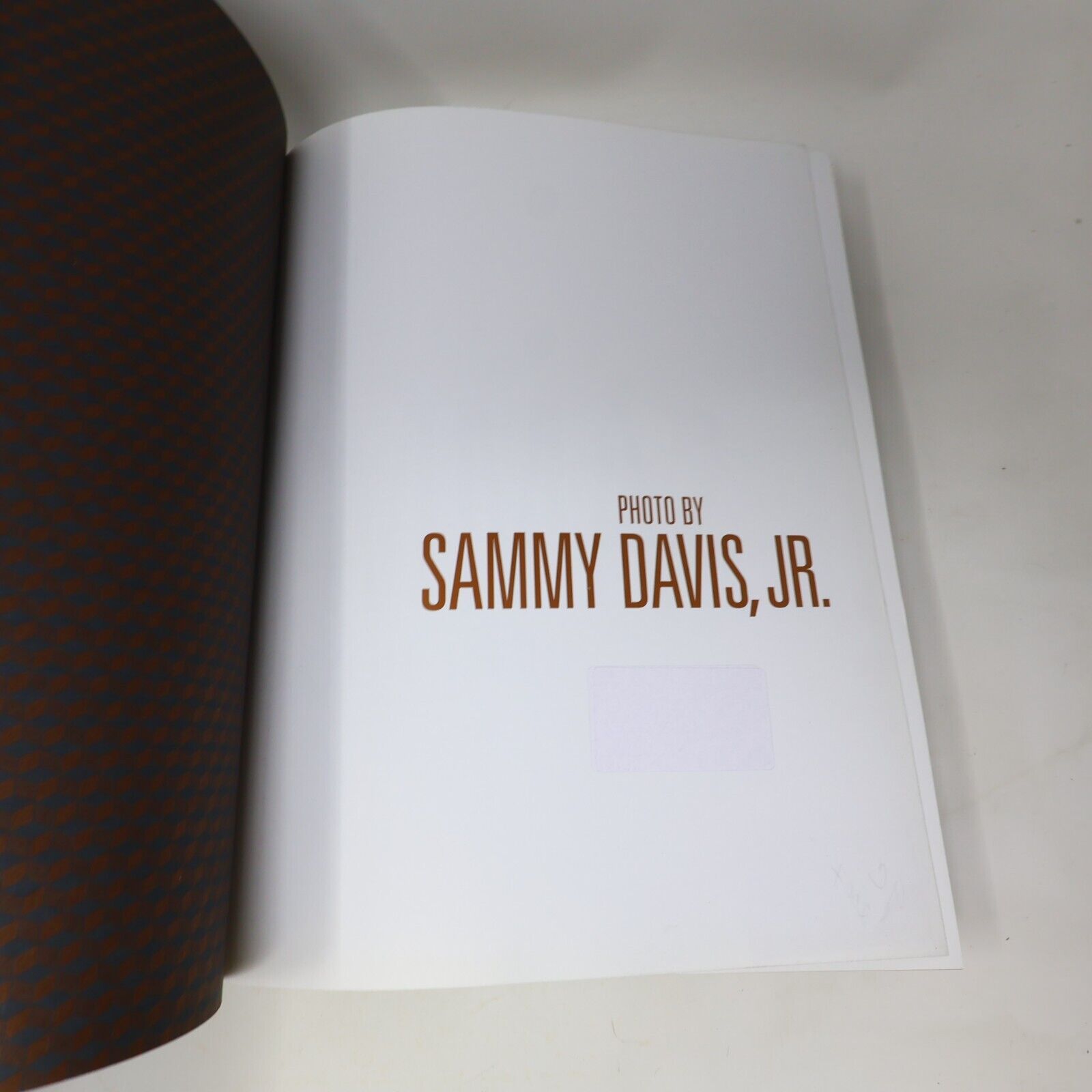 2007 Photo By Sammy Davis Jr. Burt Boyar Art Photography 1st Edition 1st Print