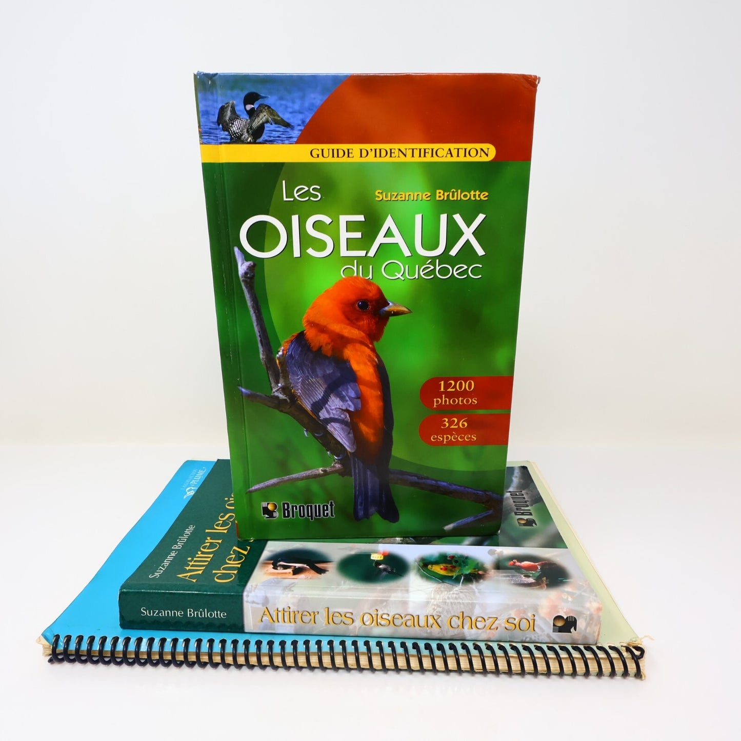 Suzanne Brûlotte Lot 3 Livres Les Oiseaux du Québec Guide d'Identification Books