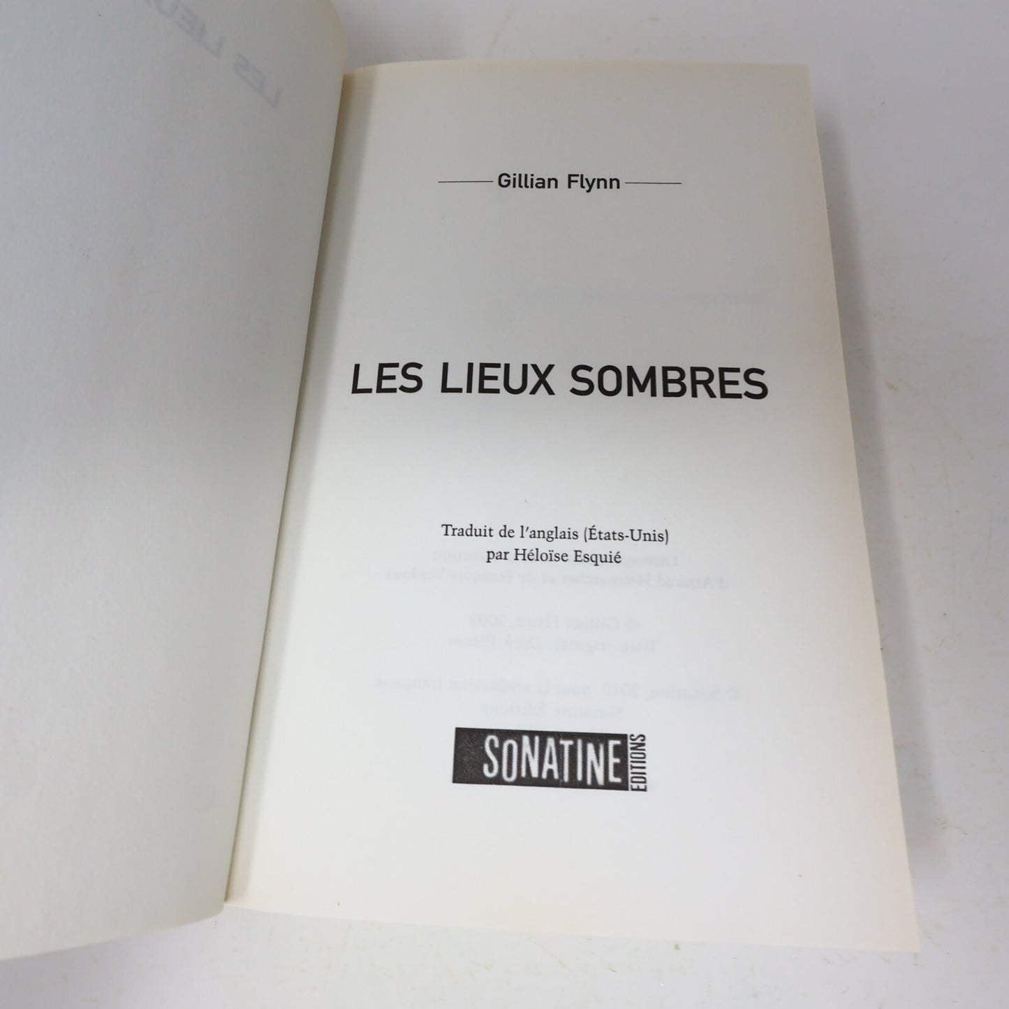 2009 Les Lieux Sombres Gillian Flynn Sonatine Crime et Mystère Policier Thriller
