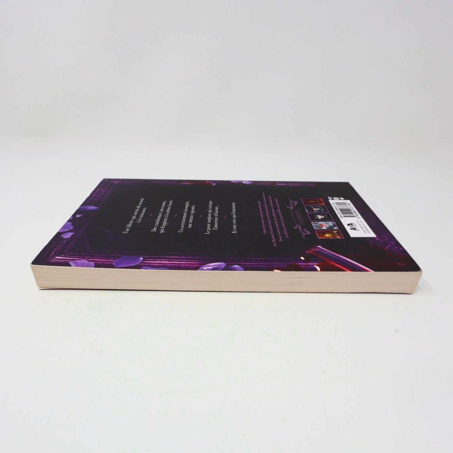 Contes Interdits La Belle au Bois Dormant Louis-Pier Sicard 2019 Ada Français PB