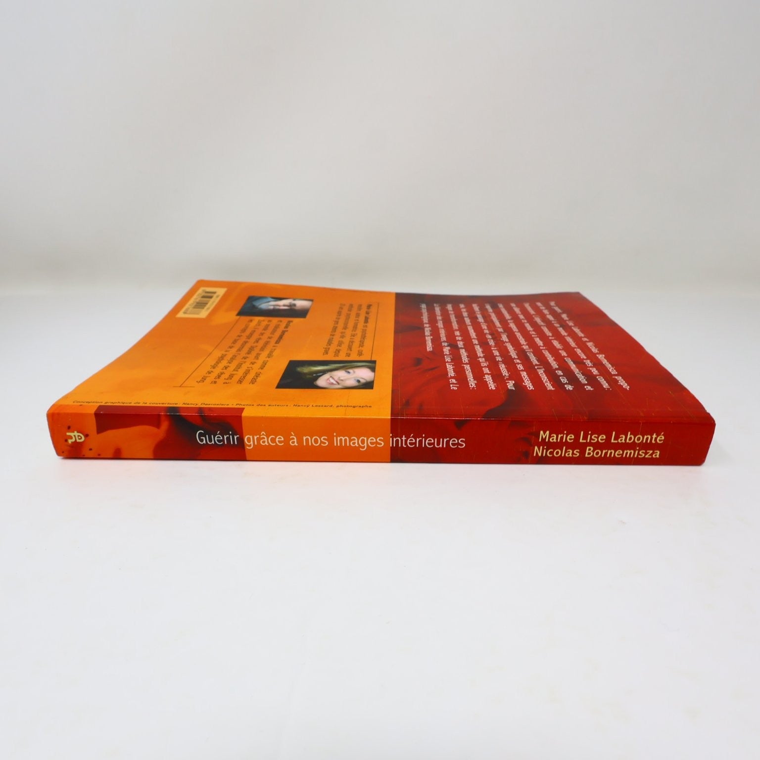 Guérir grâce à nos images intérieures Labonté/Bornemisza 2006 Psychologie PB