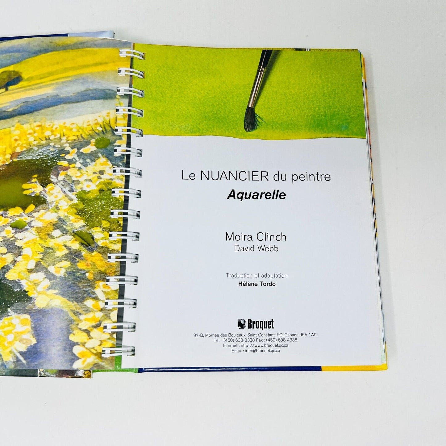 Le Nuancier du Peintre Aquarelle Moira Clinch Guide Visuel 2500 Mélanges/Glacis