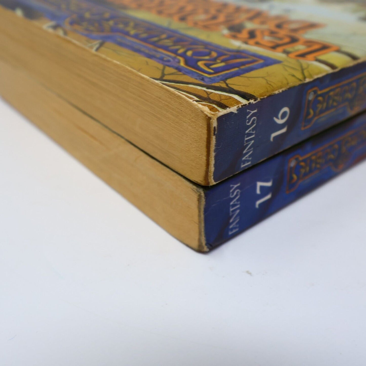 Lot 2 Livres Royaumes Oubliés #16-17 La Trilogie du Val Bise Fantasy Français PB