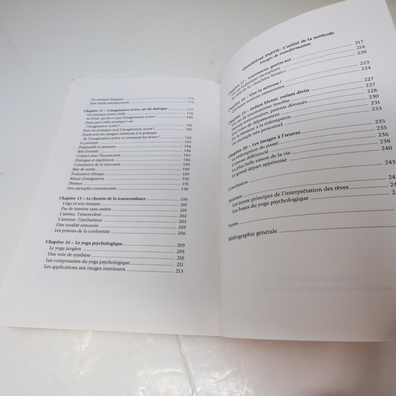 Guérir grâce à nos images intérieures Labonté/Bornemisza 2006 Psychologie PB