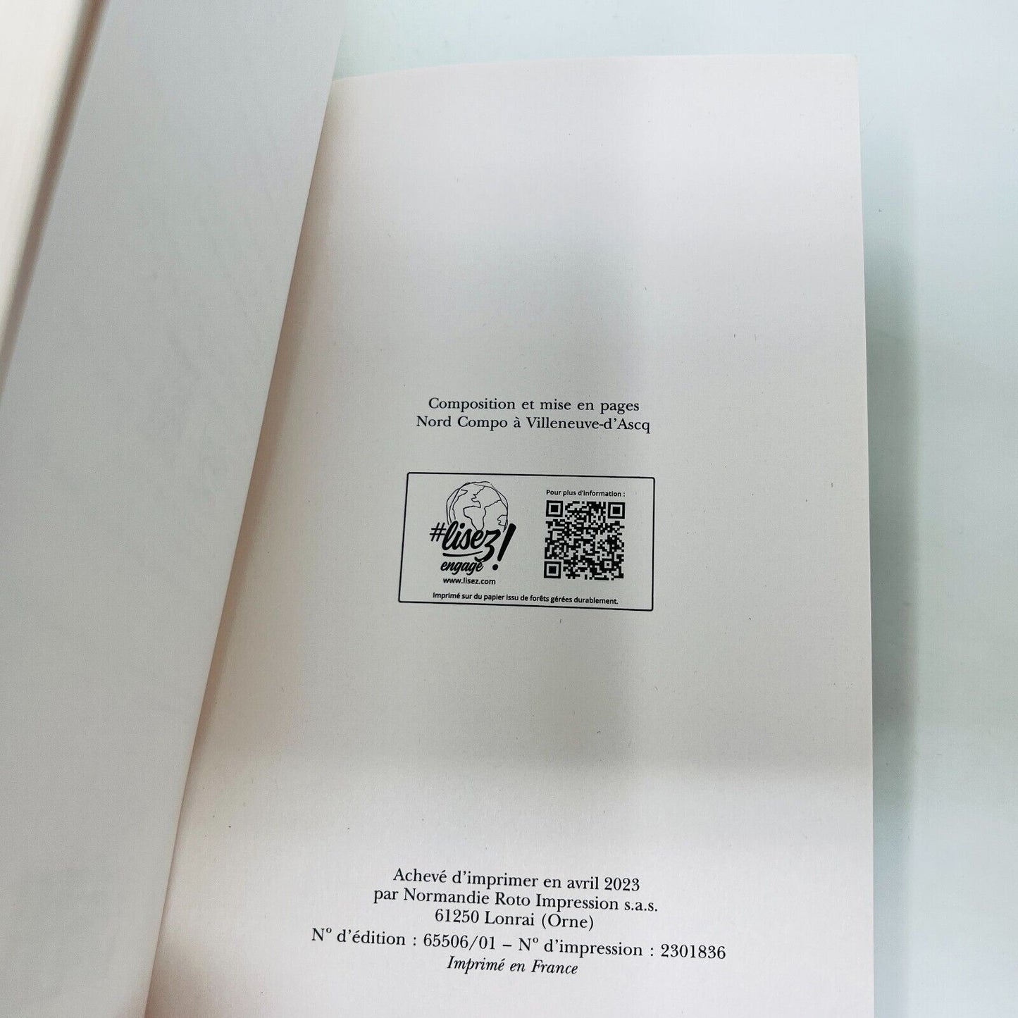 2023 Les Arcanes de Brume Livre 1 La Cartomancienne de Fanny Caldin en Français