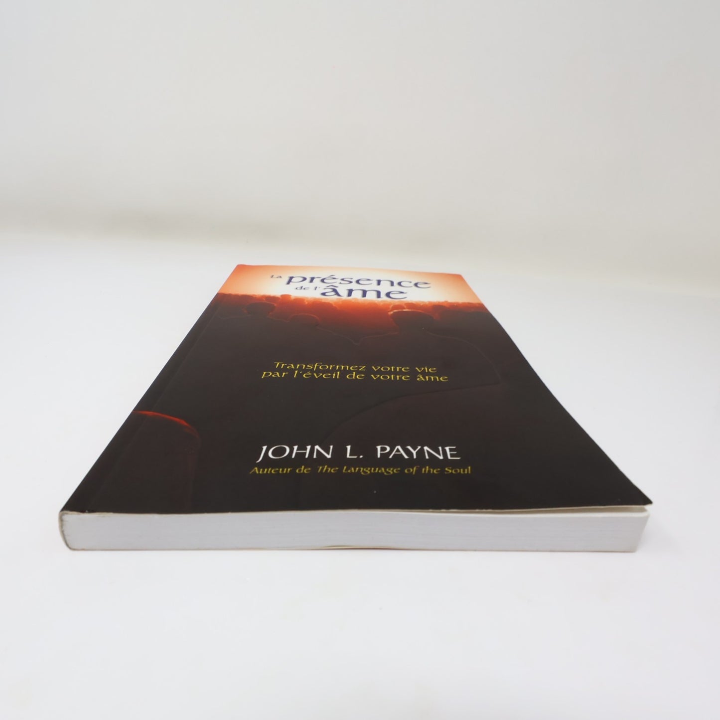 La Présence de l'Âme John Payne Ada 2009 PB Français French Ésotérisme Paperback