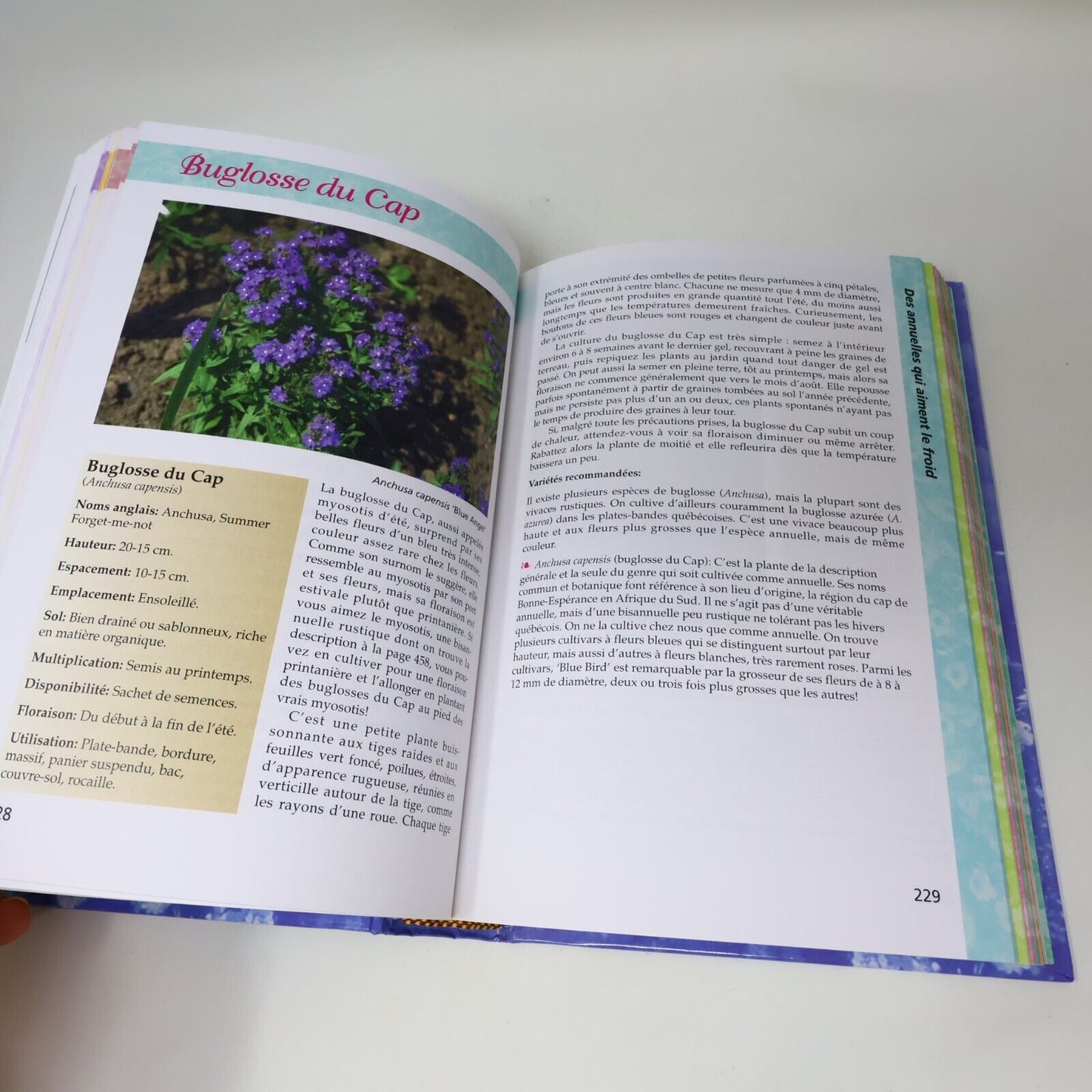 1999 Le Jardinier Paresseux Coffret Les Annuelles/Vivaces de Larry Hodgson Livre