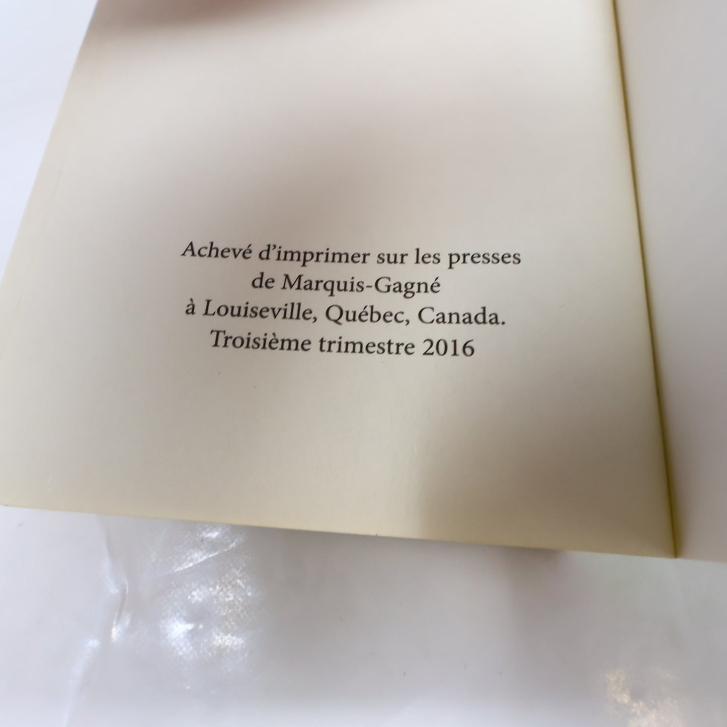 Étincelle Michèle Plomer 2016 Français Livre Edition Marchand de Feuilles